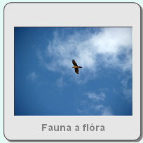 Fauna a flra